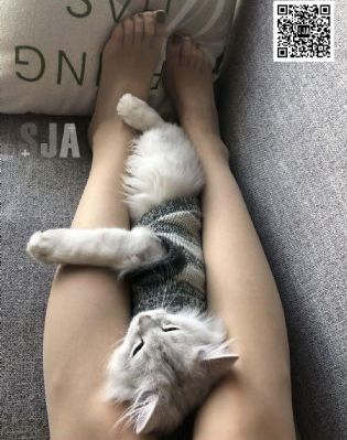 延禧攻略电视剧全集免费完整版