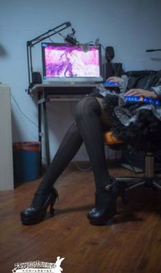 向井兰