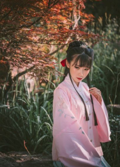 免费观看电视剧在线播放
