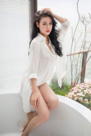 完美世界更新到第几集了