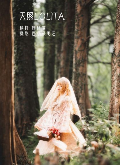 奸臣在线免费观看