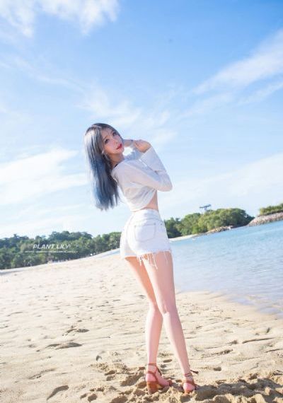蔷薇风暴四十集免费观看