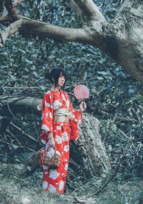 女老板的反击电视剧结局